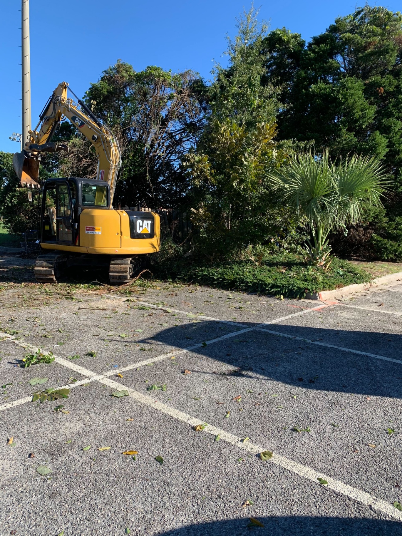 CAT excavator clearing trees and overgrowth at a commercial site